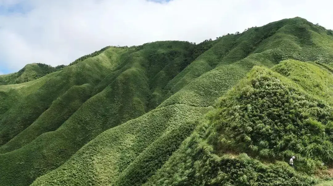 網美打卡秘境抹茶山 聖母登山步道攻略