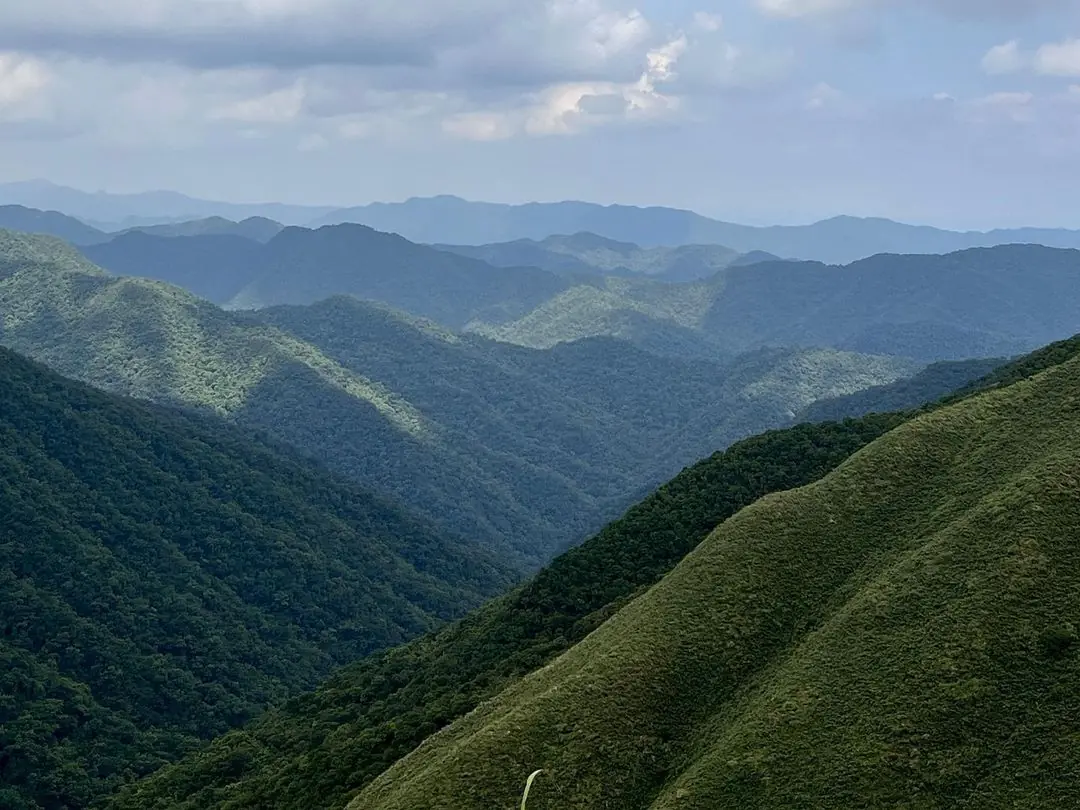 網美打卡秘境抹茶山 聖母登山步道攻略