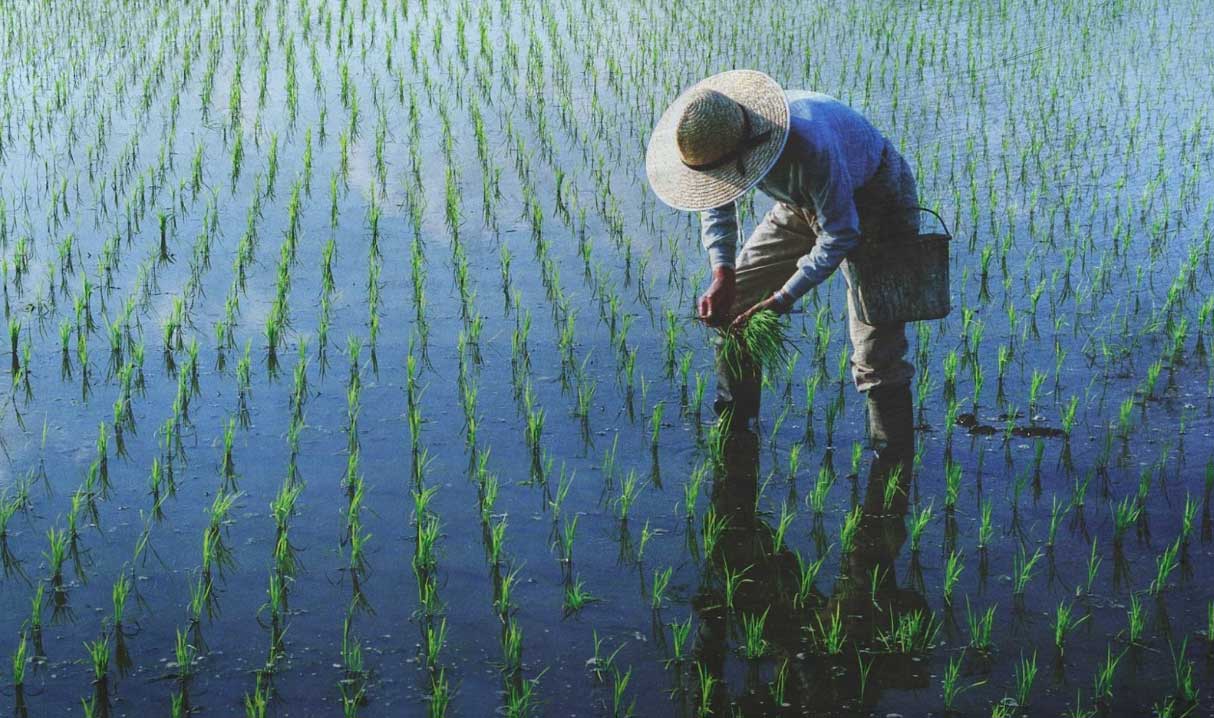 企業永續