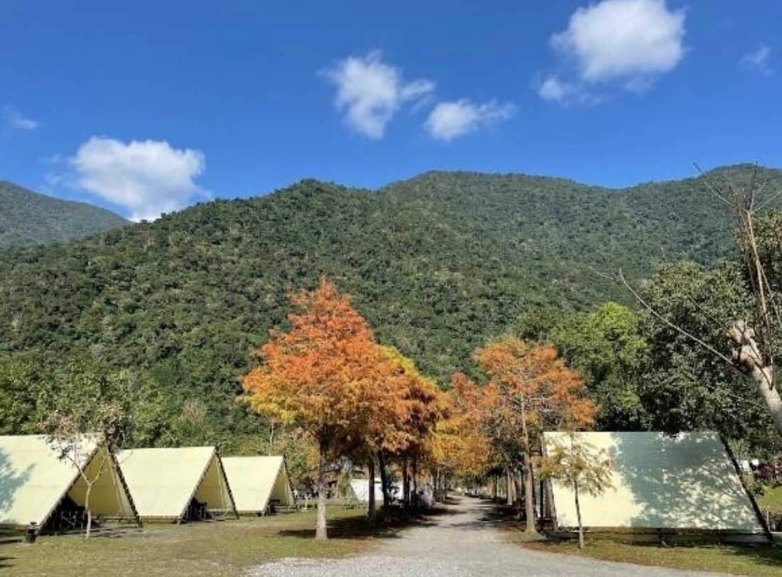 首頁