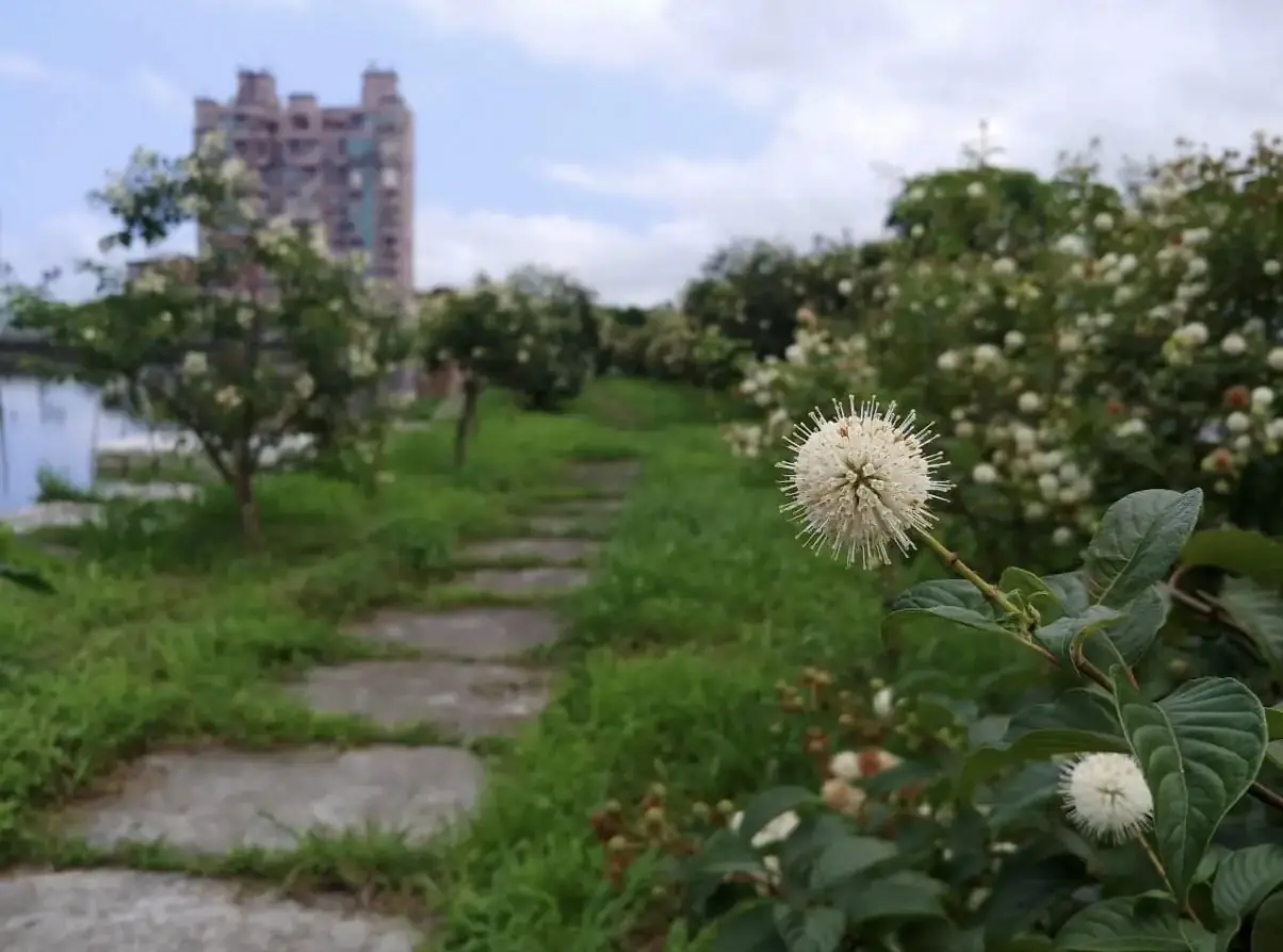 宜蘭五結私房景點在哪裡?五十二甲地濕地大公開! 宜蘭五結私房景點在哪裡?五十二甲地濕地大公開!