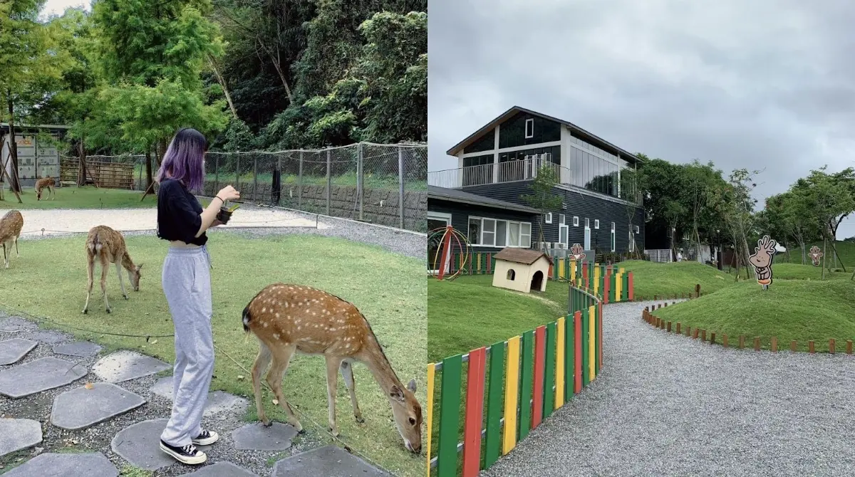宜蘭約會懶人包 6個IG景點大公開