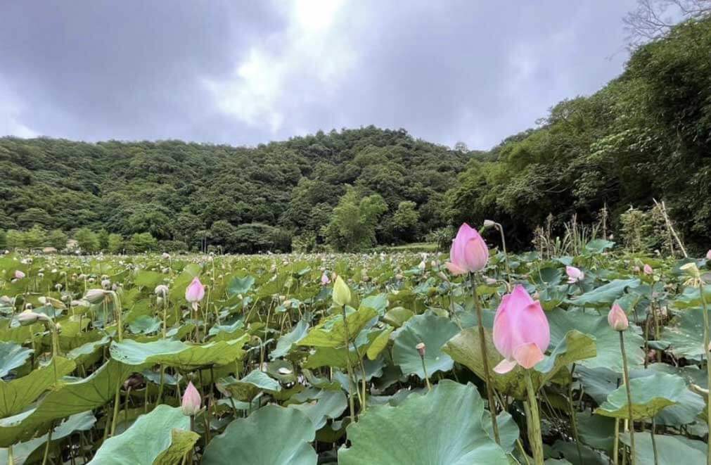 南澳旅遊有趣嗎?泰雅文化讓你意猶未竟! 南澳旅遊有趣嗎?泰雅文化讓你意猶未竟!