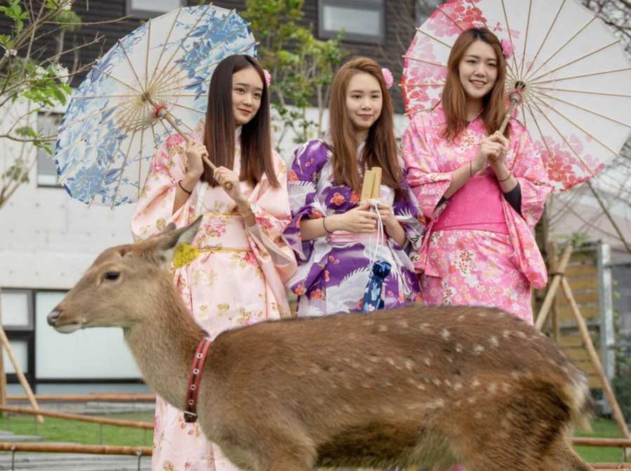 首頁